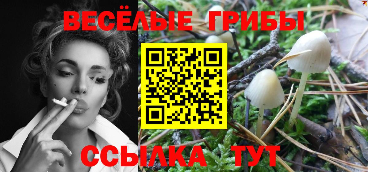 Псилоцибиновые грибы прущие грибы  Псилоцибиновые грибы GOLDEN TEACHER  Вход с VPN  Белорецк 