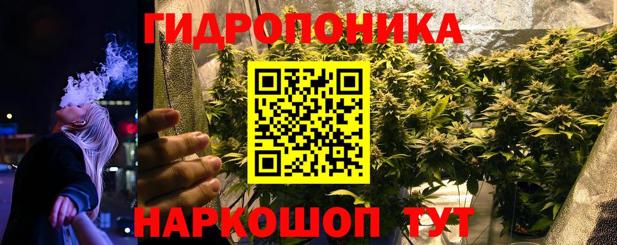Конопля сатива  Вход с VPN  Бошки Шишки AK-47  Белорецк  Шишки марихуана Bruce Banner 